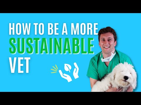 How YOU Can Be More Sustainable In The Veterinary Profession