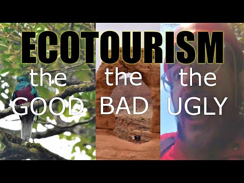 Tourism and Conservation: Is Ecotourism Sustainable, and can it be better?