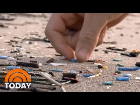 Microplastics: Where Do They Come From, And How Big Is The Problem? | TODAY