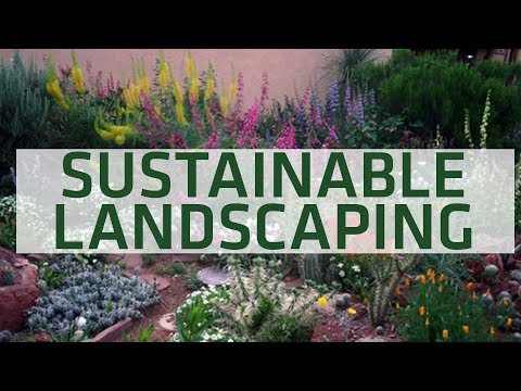 Sustainable Landscaping