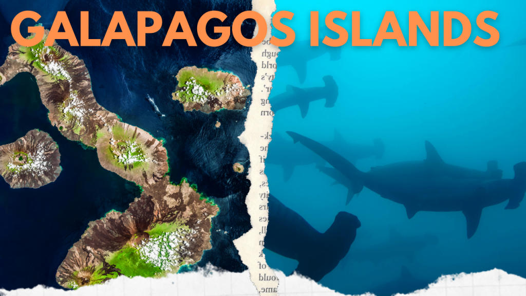 Galapagos Island Eco Tourism Destinations