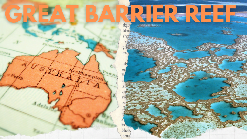 The Great Barrier Reef Eco Tourism