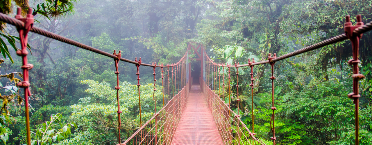 Costa Rica A Paradise for Eco-Adventurers