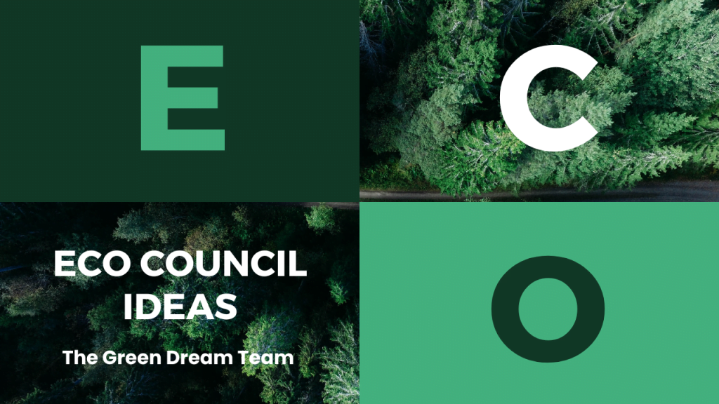 Eco Council Ideas