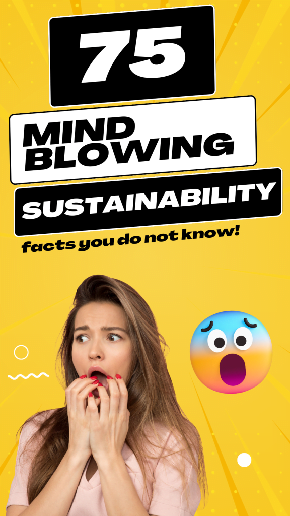 facts about sustainability