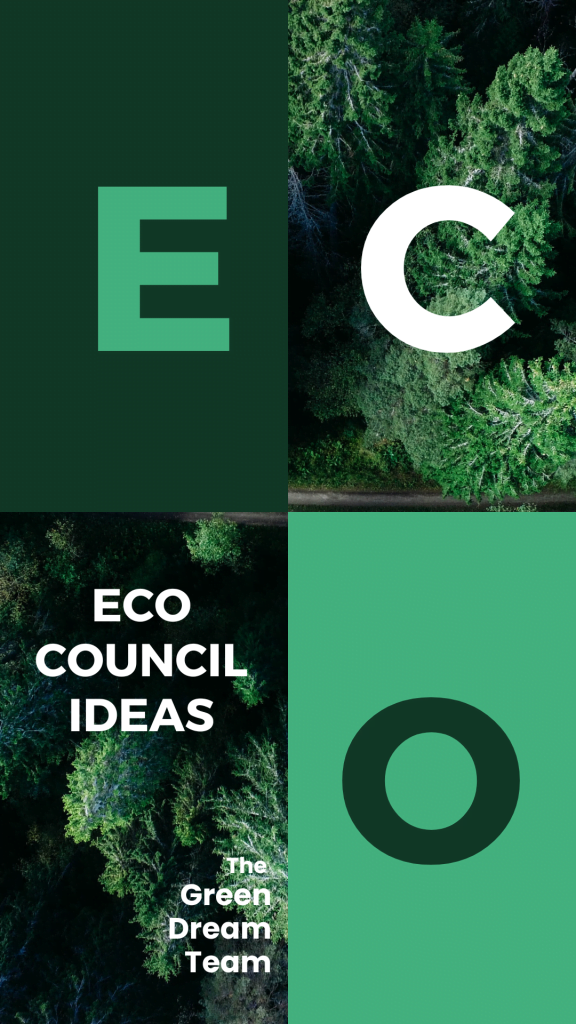 The Concept of Eco Council Ideas