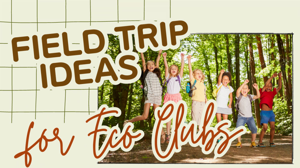 field trip ideas for eco clubs